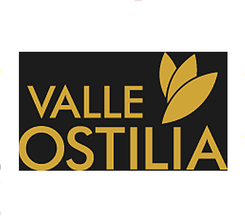 Valle Ostilla_logo